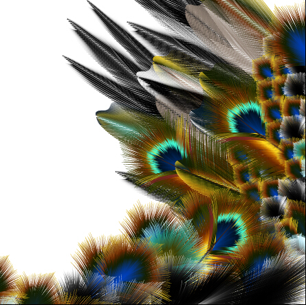 Beautiful peacock feathers background graphics 02