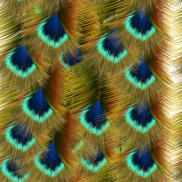 Beautiful peacock feathers background graphics 03
