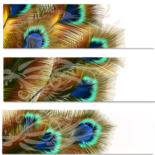 Beautiful peacock feathers vector banners