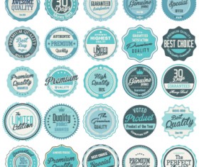 Blue vintage labels circular vector