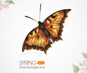 Butterflies and spring background vector 02