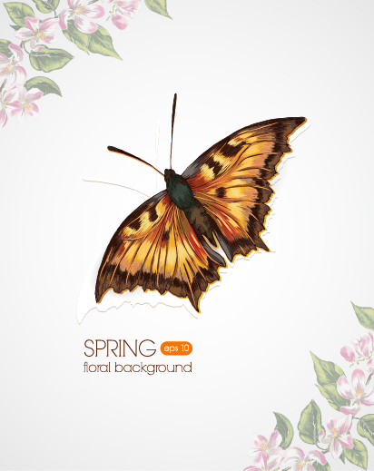 Butterflies and spring background vector 02