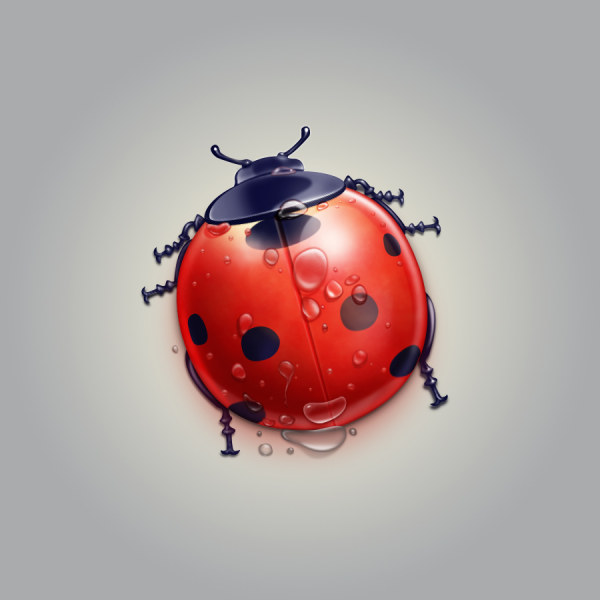 Cartoon Ladybug psd material