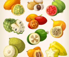 Different fruits design vectors set