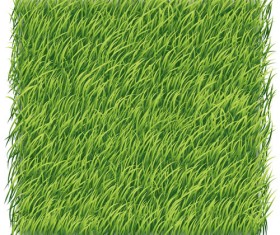 Green grass art backgrounds vector