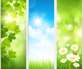 Green spring leaves banners set vector 01