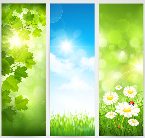 Green spring leaves banners set vector 01
