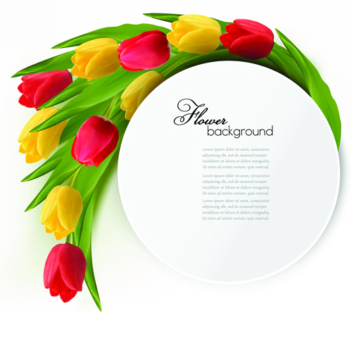 Unduh 400 Background Vector Bunga Tulip HD Terbaik