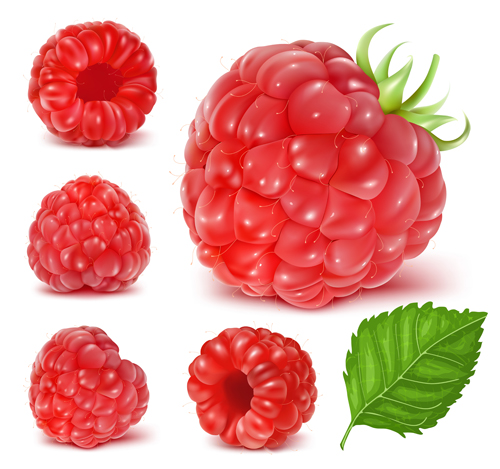 Juicy red berries design vectors