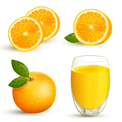 Oranges with juice creative vector