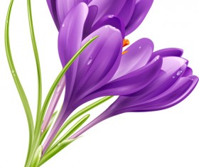 Purple flower shiny vector