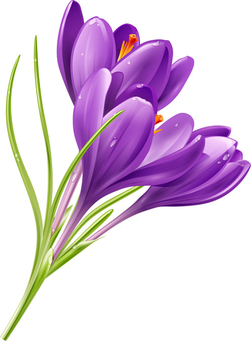 Purple flower shiny vector free download