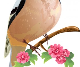 Pink flowers with bird vecto material