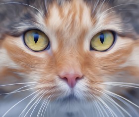 Realistic cat face design vector