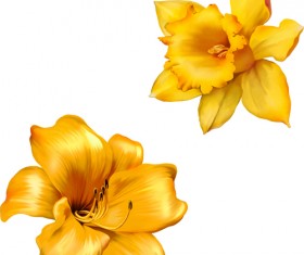 Realistic flowers beautiful vector set 03