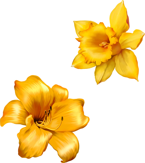 Realistic flowers beautiful vector set 03 free download