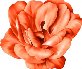 Realistic flowers beautiful vector set 06