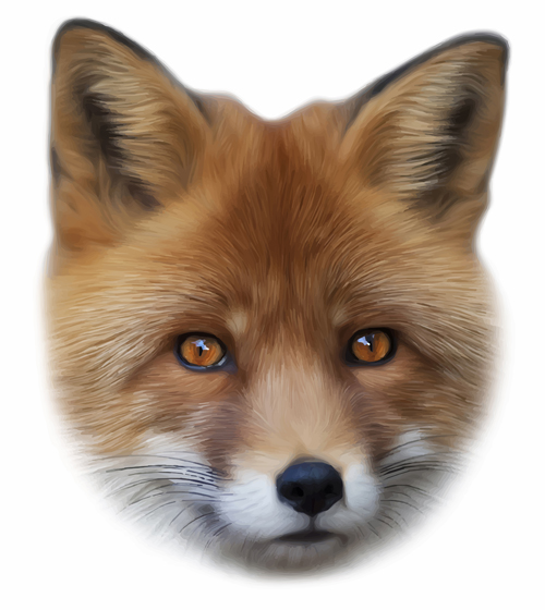 Realistic fox face design vector