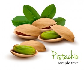 Realistic pistachio shiny vector background