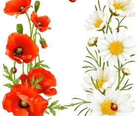 Red with white poppy vector background