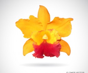 Red with yellow flower vector material