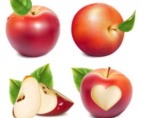 Shiny red apples vector design