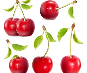 Shuilingling cherry vector material