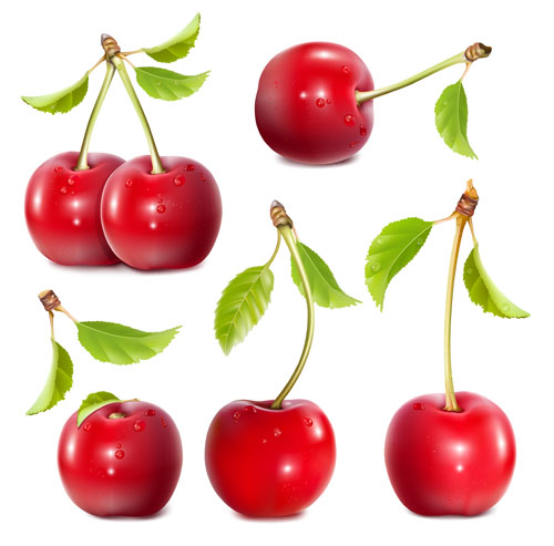 Shuilingling cherry vector material