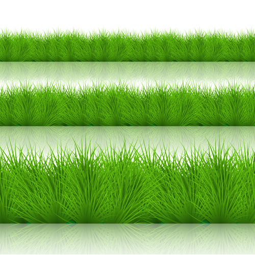 Spring grass borders vector material set 01