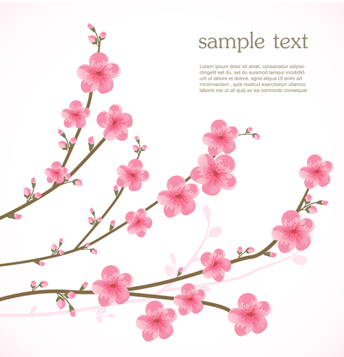 Spring pink cherry vector background
