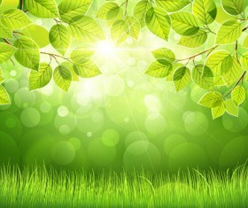 Spring sunlight with green leaves background vector 02