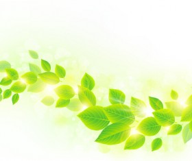 Spring sunlight with green leaves background vector 04