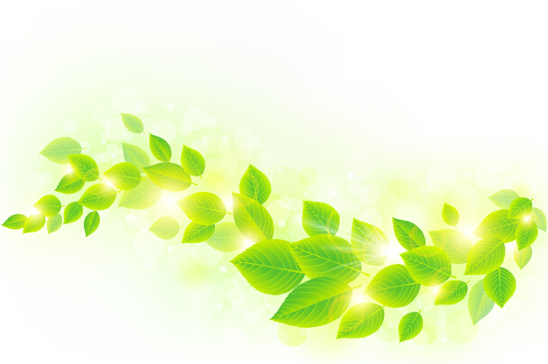 Spring sunlight with green leaves background vector 04