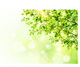 Sunlight with green tree spring background