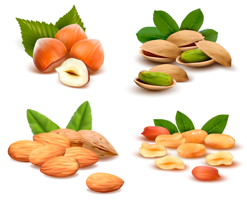 Various nuts set vectors