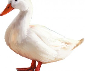 Vector set Realistic animal design material 01