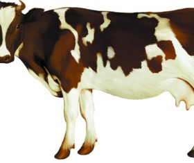 Vector set Realistic animal design material 03