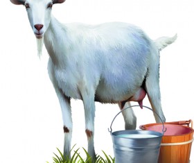 Vector set Realistic animal design material 09