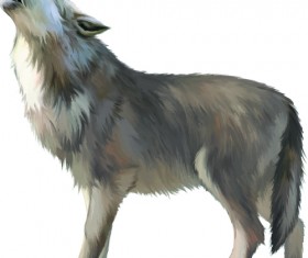 Vector set Realistic animal design material 10