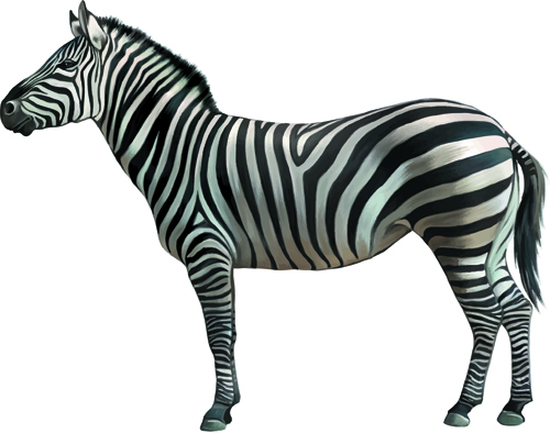 2. Easy Black and White Zebra Nail Art Design - wide 1