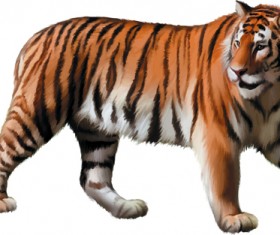 Vector set Realistic animal design material 12