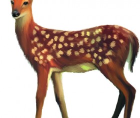 Vector set Realistic animal design material 14