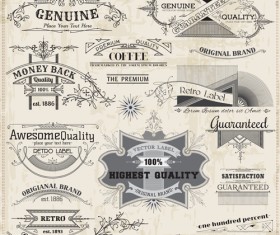 Vintage floral decor with frame vector 02