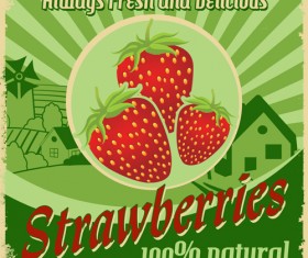 Vintage styles strawberries poster vector material
