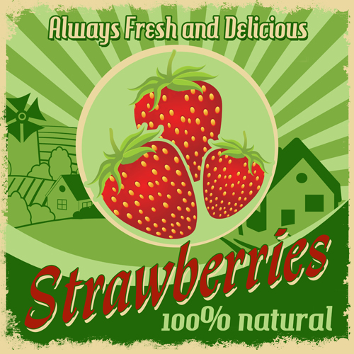 Vintage styles strawberries poster vector material
