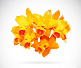 Yellow flowers beautiful vectors