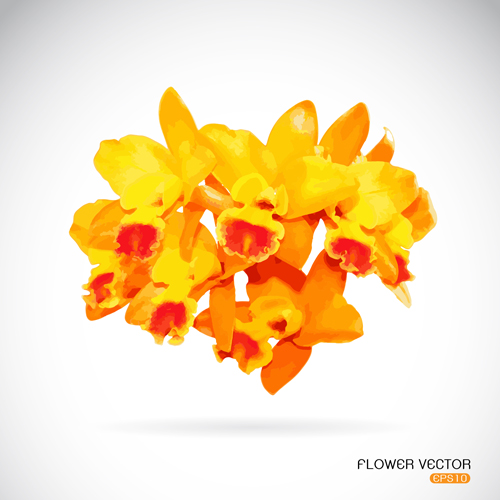 Yellow flowers beautiful vectors
