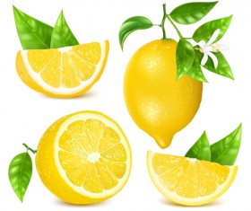 Yellow lemon vector material