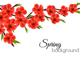Beautiful red flowers spring vectors background