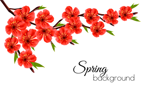 Beautiful red flowers spring vectors background